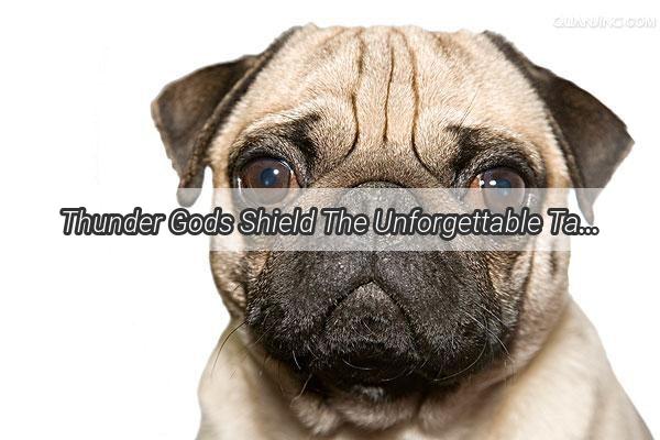 Thunder Gods Shield The Unforgettable Tale of a Dog Defying Natures Wrath